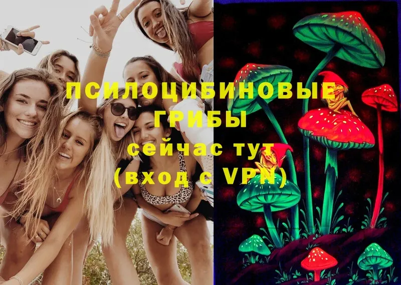 Галлюциногенные грибы MAGIC MUSHROOMS  даркнет сайт  Алдан 